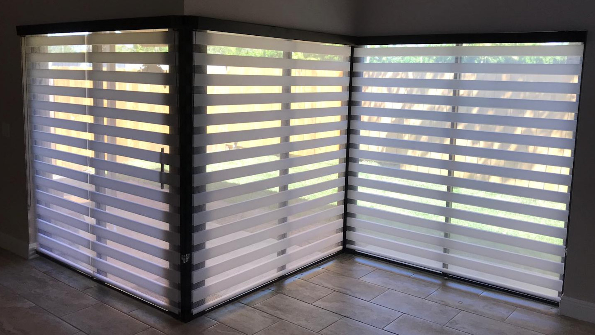 zebra shades window blinds